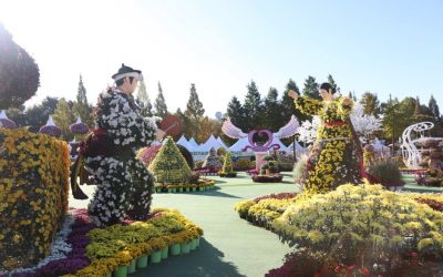 익산천만송이국화축제