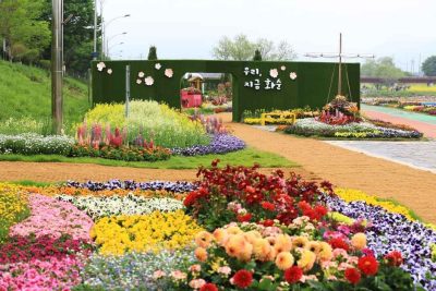 2026 화순 봄꽃 축제