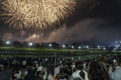 2026년 제8회 운정호수공원 불꽃축제