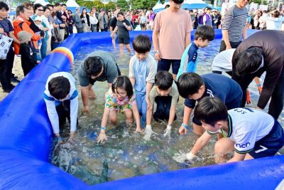 부산고등어축제